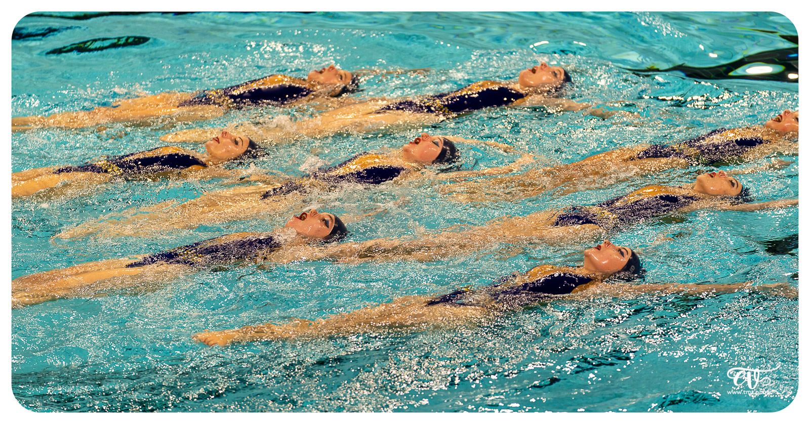 Le bns en mode haute couture 51743063424 o