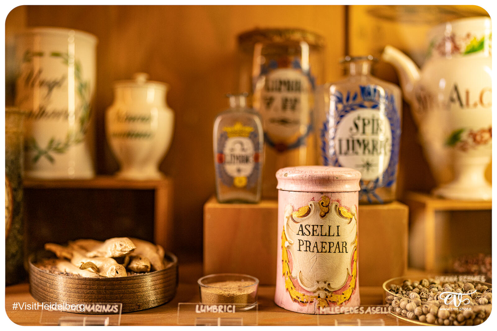 TMTPHOTO VISITHEIDELBERG 042