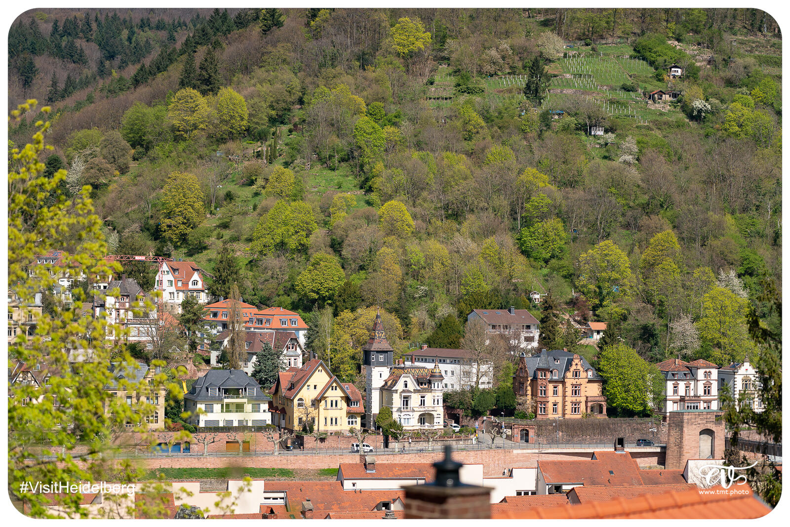 TMTPHOTO VISITHEIDELBERG 119