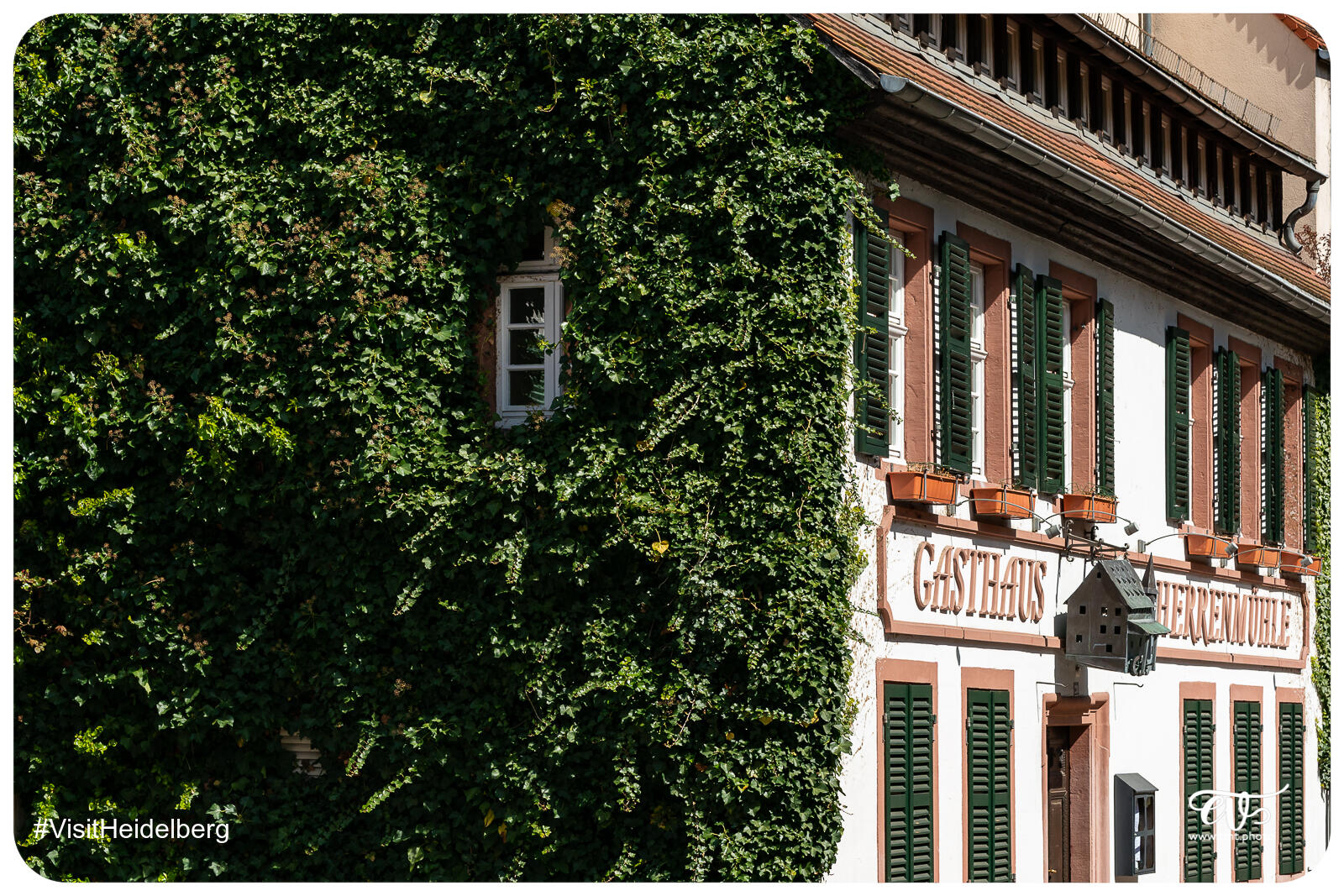 TMTPHOTO VISITHEIDELBERG 121