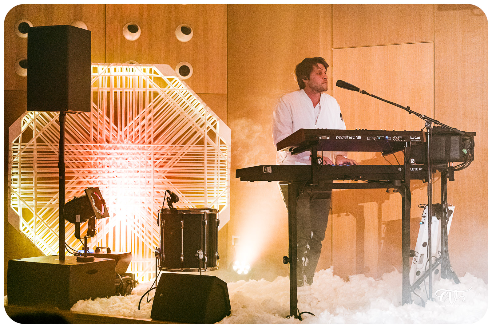 ZIMMIA (RELEASE PARTY ODYSSEY II)