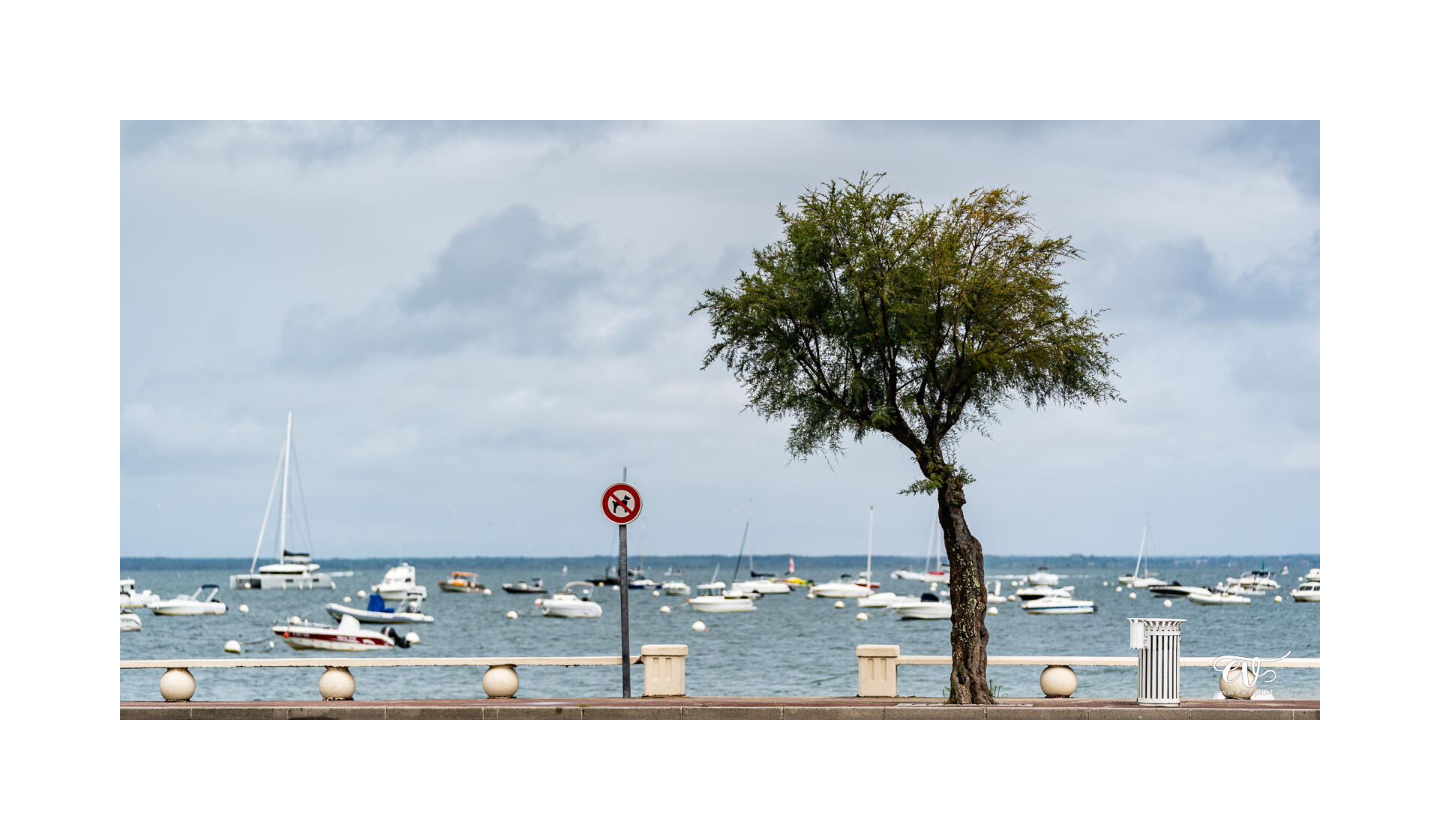 CARNET DE VOYAGES : BORDEAUX, ARCACHON