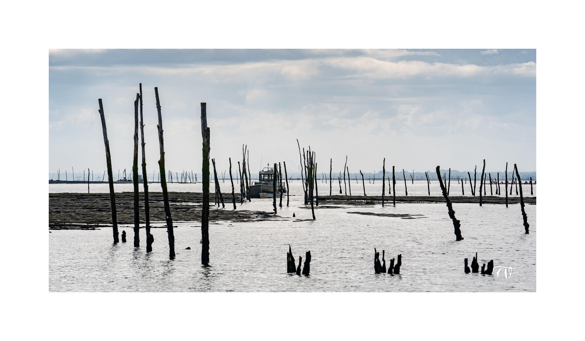 CARNET DE VOYAGES : BORDEAUX, ARCACHON