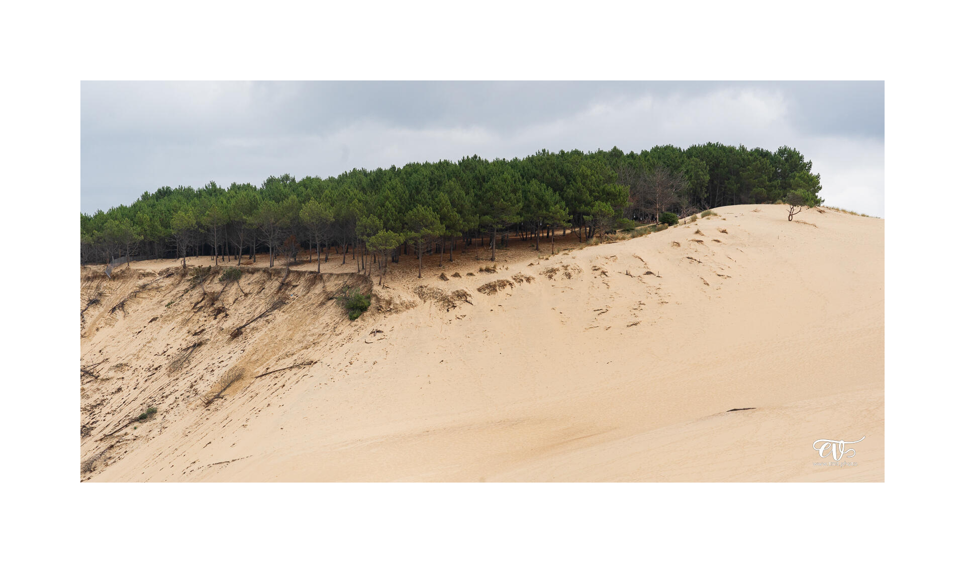 CARNET DE VOYAGES : BORDEAUX, ARCACHON