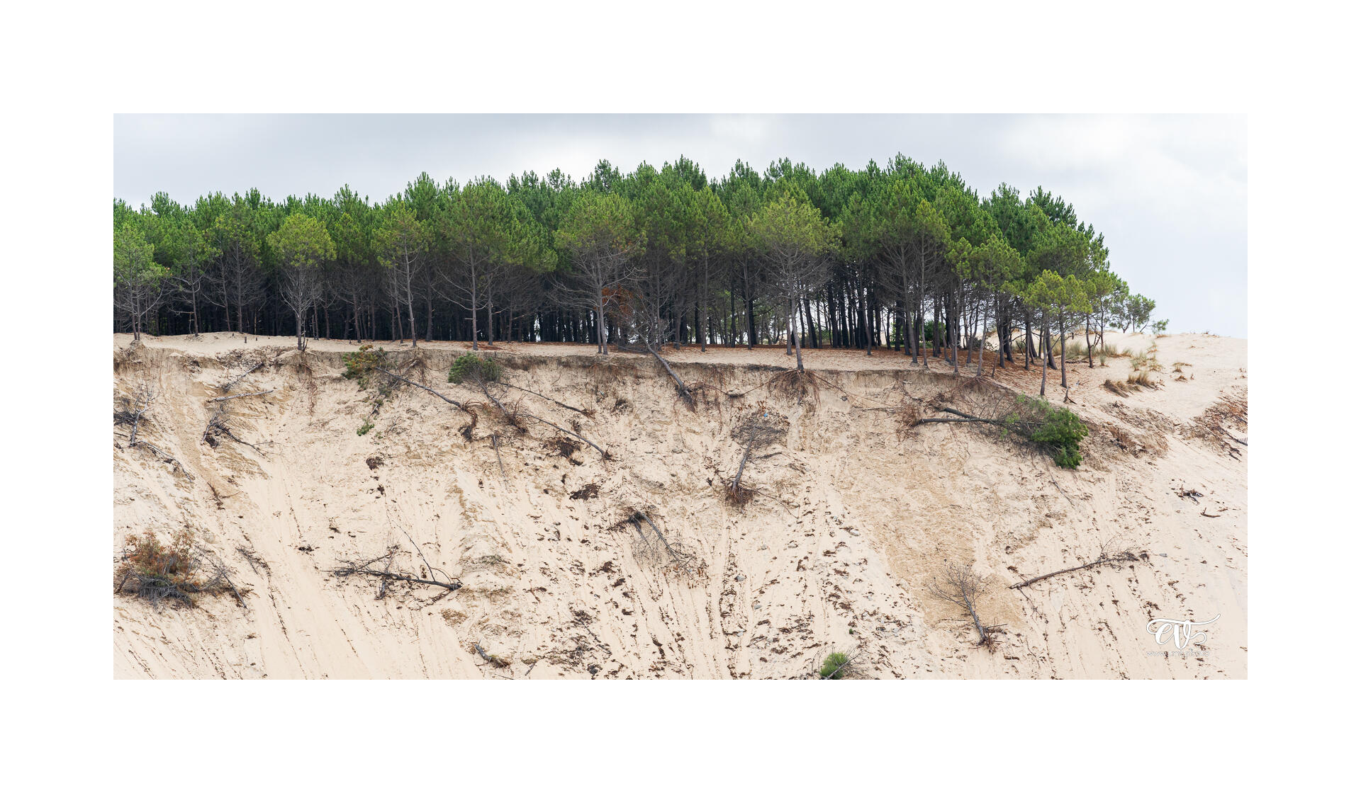 CARNET DE VOYAGES : BORDEAUX, ARCACHON