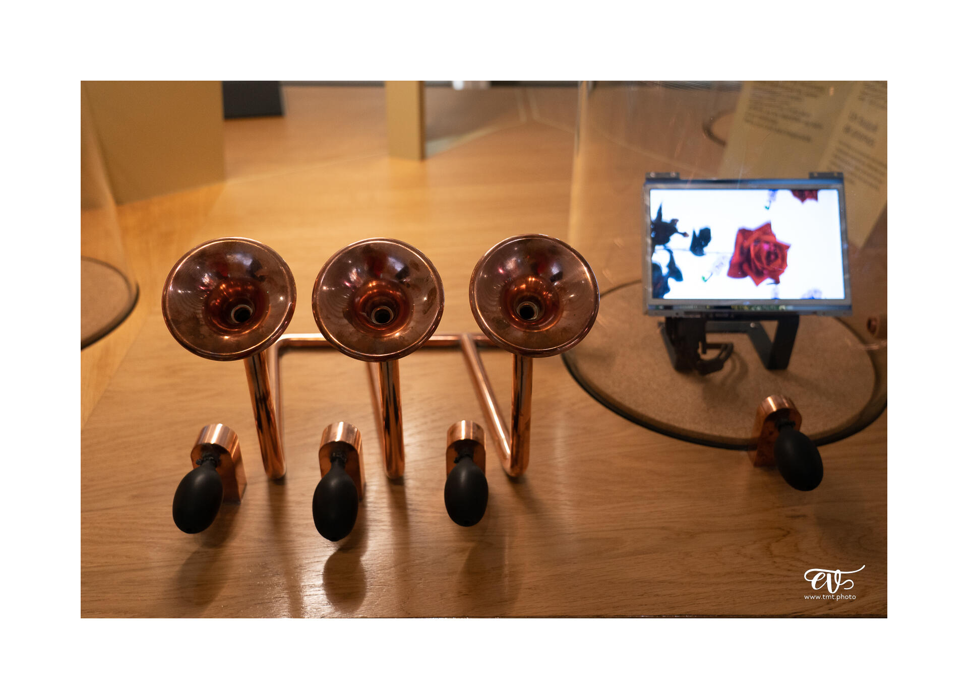 CARNET DE VOYAGES : BORDEAUX, ARCACHON