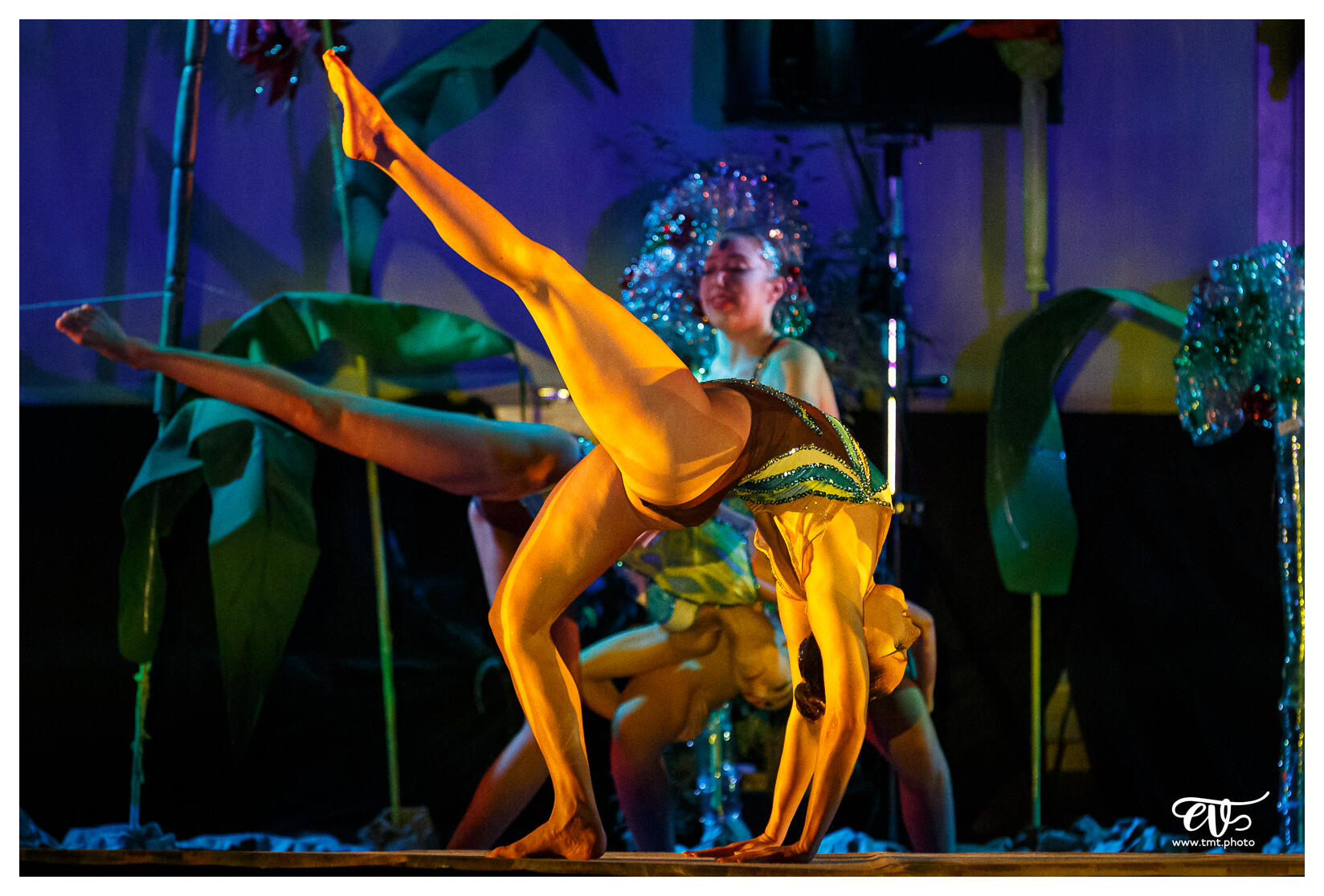 ILLUSIONS (BALLET NAUTIQUE DE STRASBOURG - BNS)