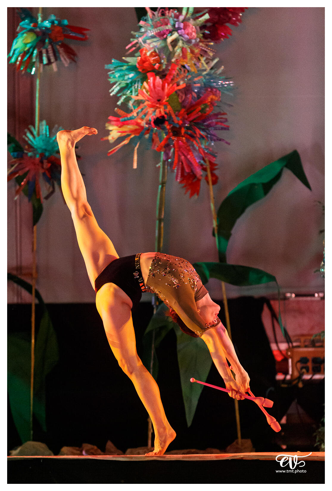 ILLUSIONS (BALLET NAUTIQUE DE STRASBOURG - BNS)