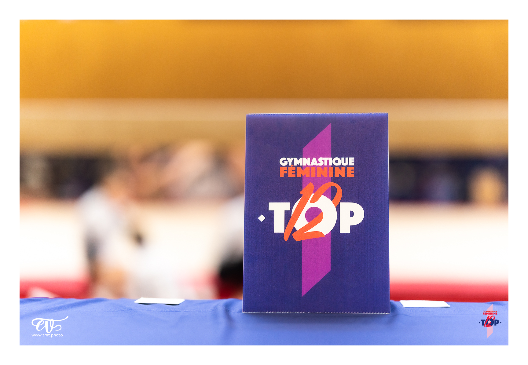 RENCONTRE TOP12 HAGUENAU