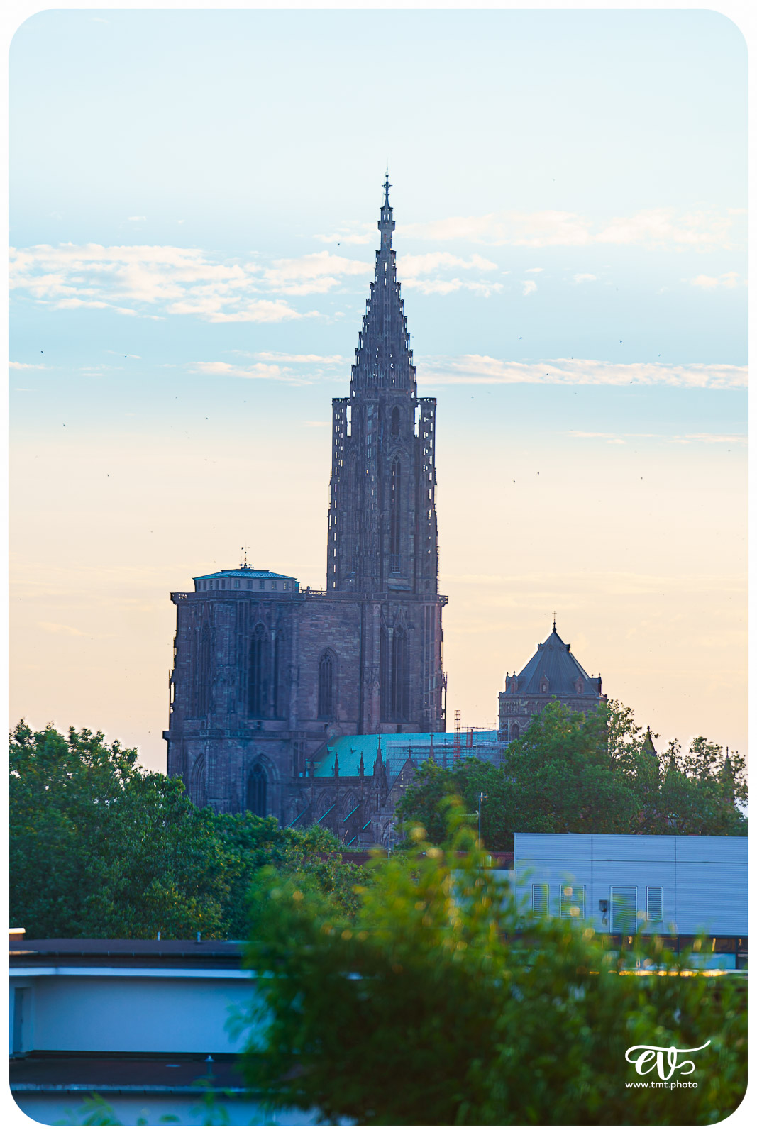 TWAPERO #32 AU STUDIUM