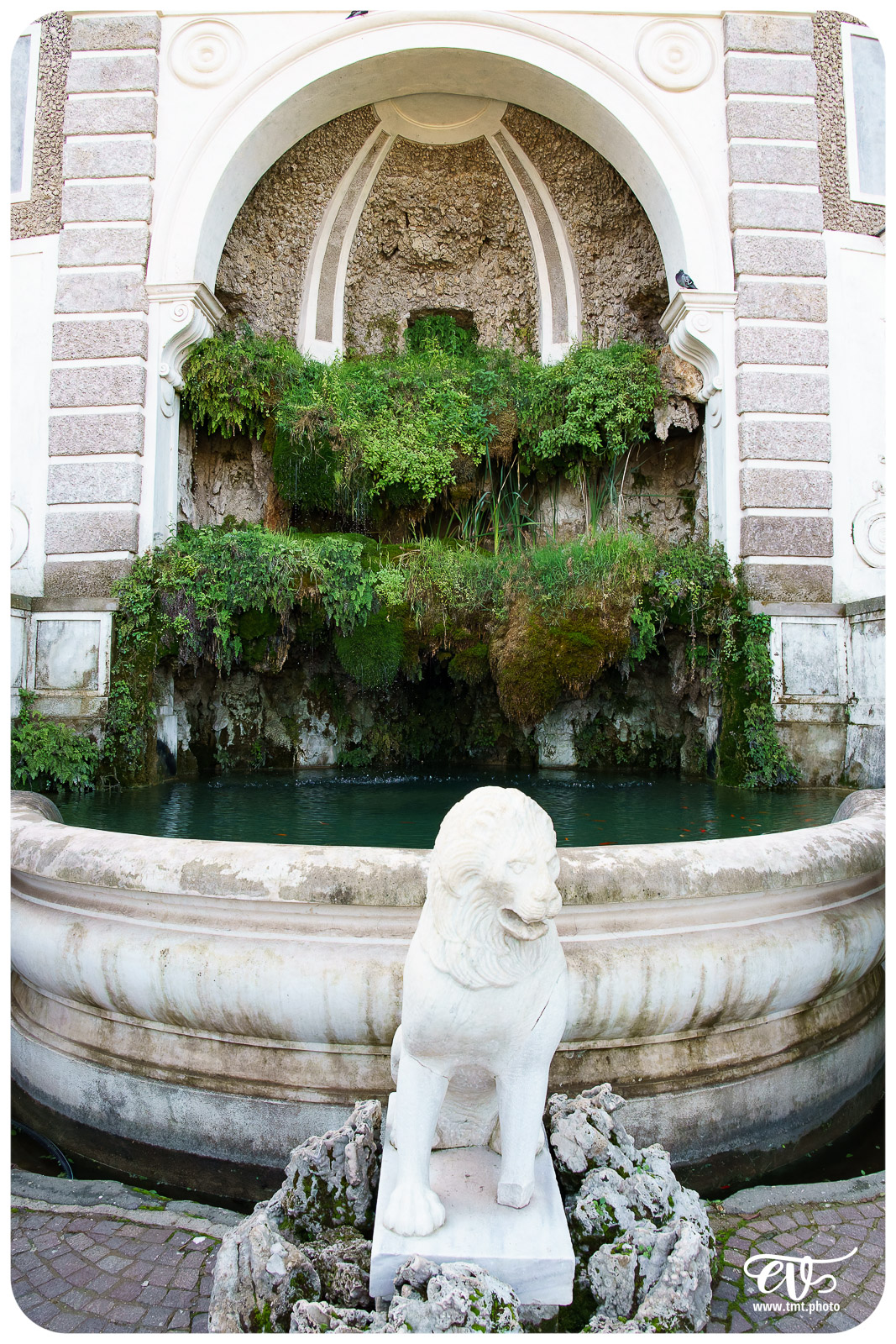 ROME - LA VILLE ETERNELLE