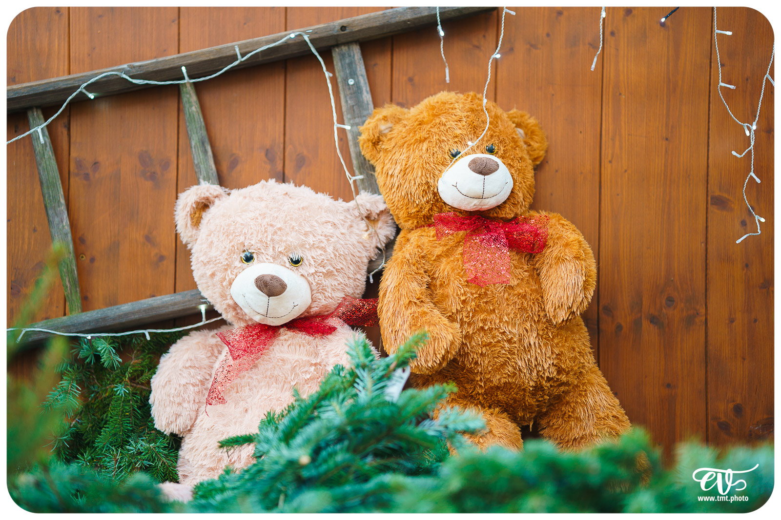 TMTPHOTO HAGUENOËL2024 006