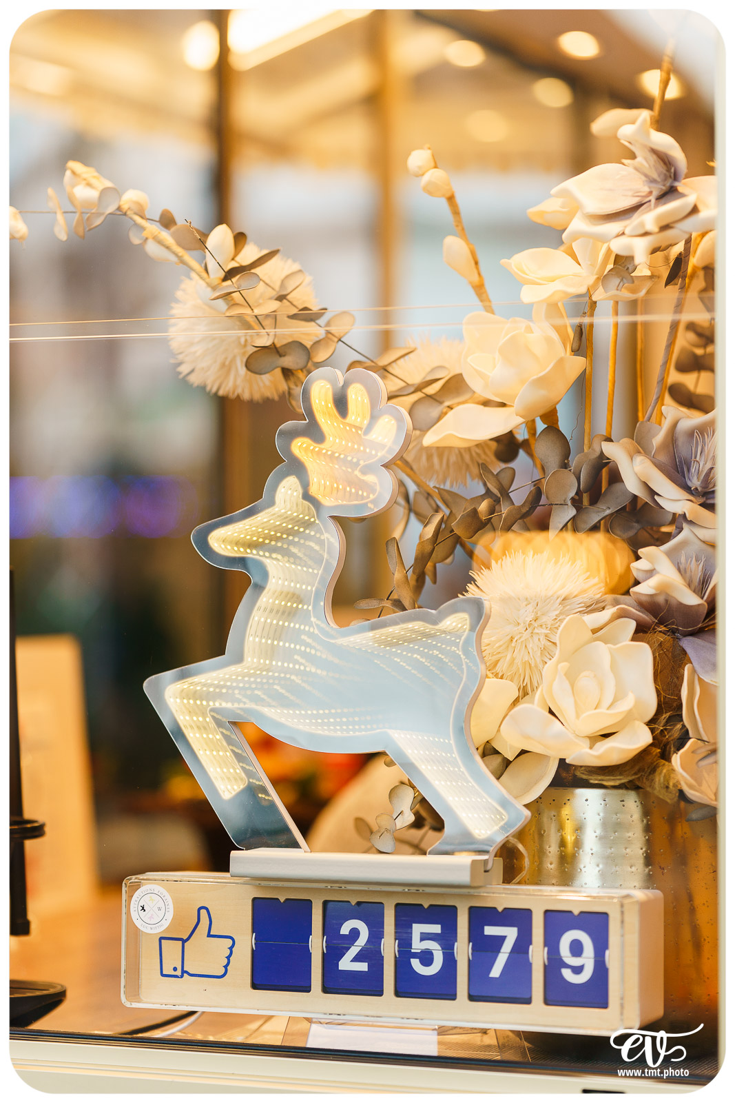 TMTPHOTO HAGUENOËL2024 022