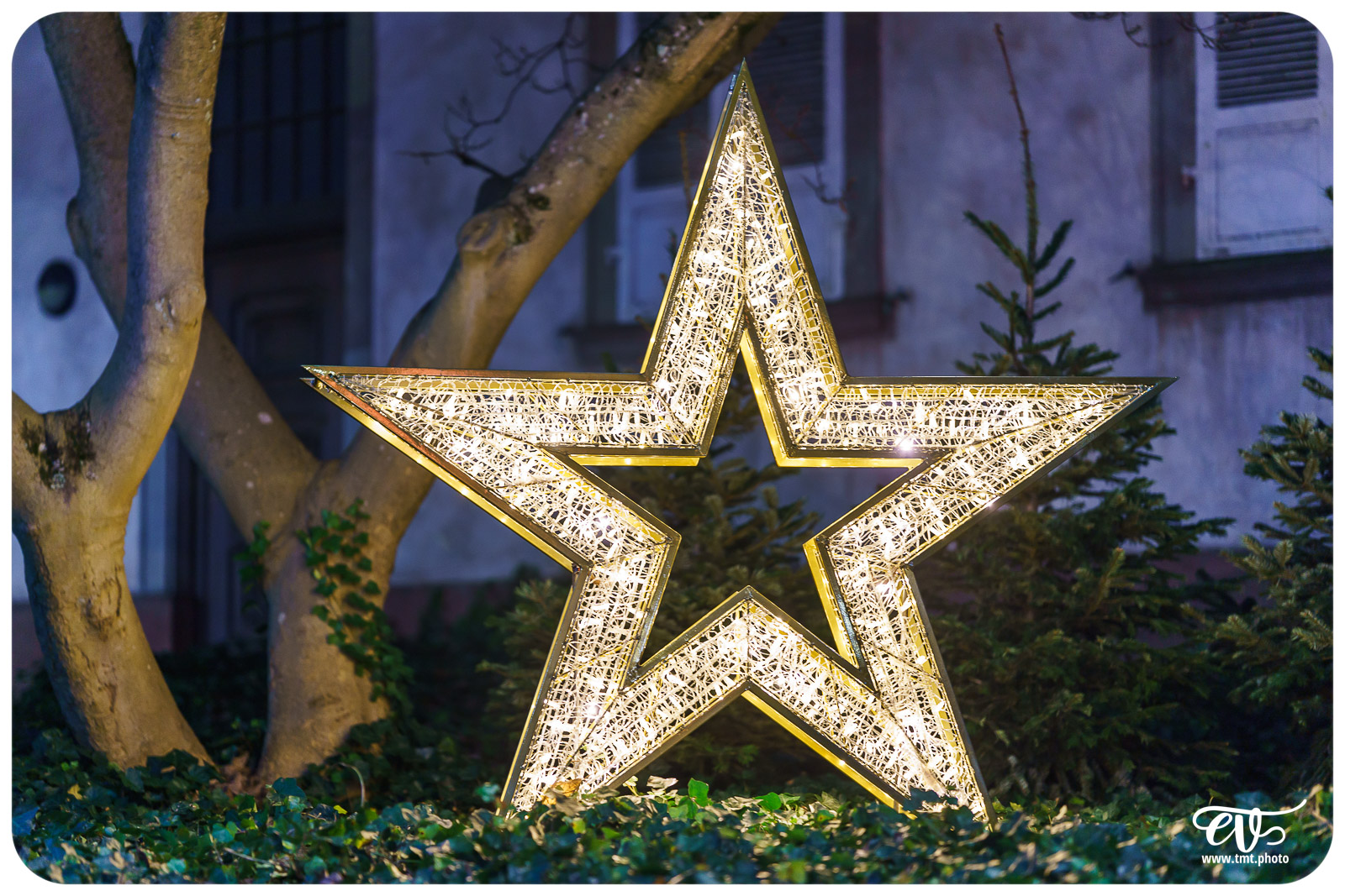 TMTPHOTO HAGUENOËL2024 088