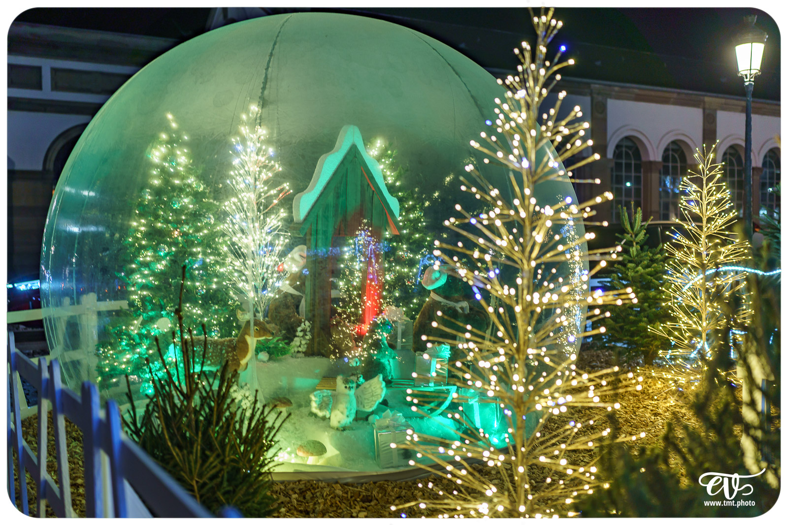 TMTPHOTO HAGUENOËL2024 098